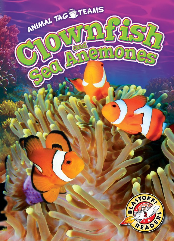 Clownfish and Sea Anemones, Kari Schuetz