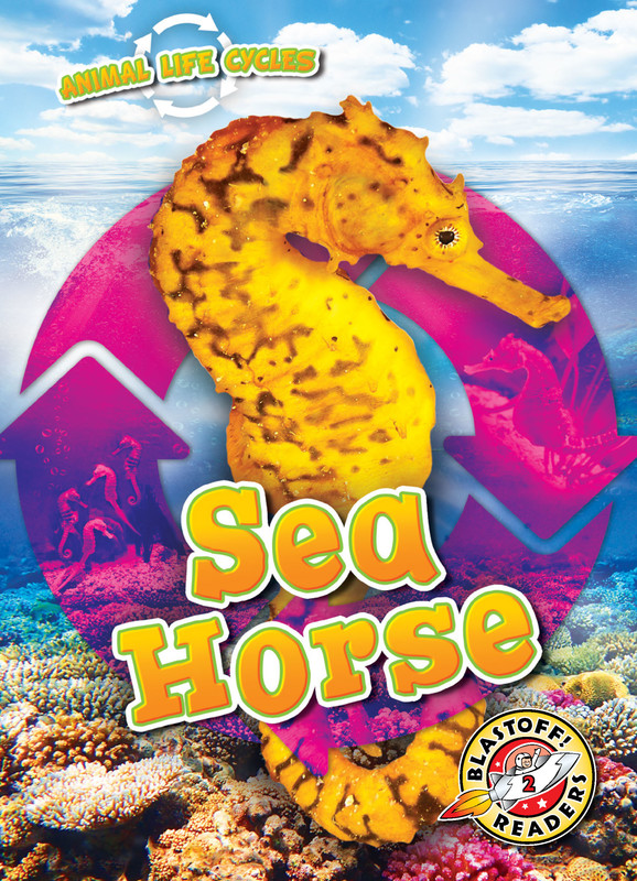 Animal Life Cycles: Sea Horse, Elizabeth Neuenfeldt