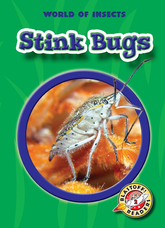Stink Bugs, Colleen Sexton