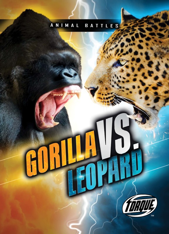 Gorilla vs. Leopard, Nathan Sommer