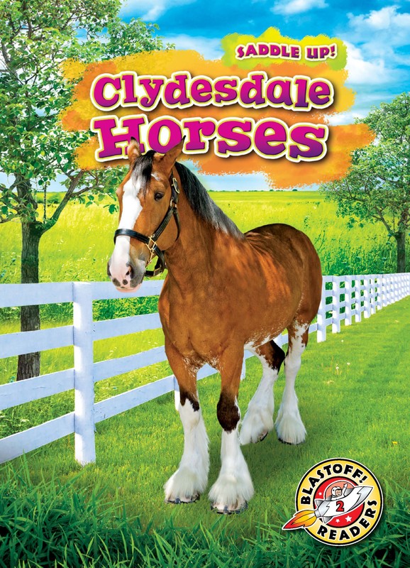 Clydesdale Horses, Rachel Grack