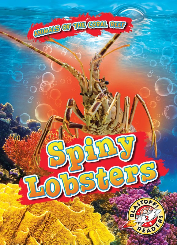 Spiny Lobsters, Lindsay Shaffer