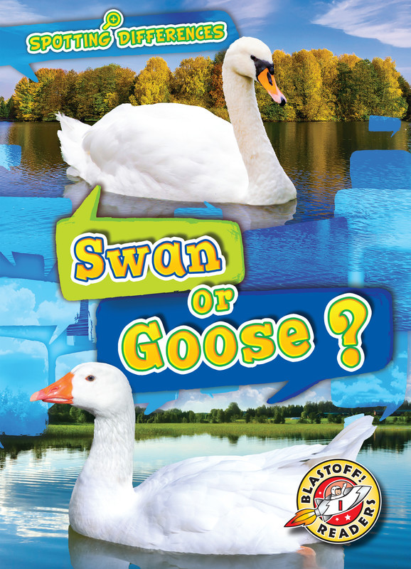 Swan or Goose?, Kirsten Chang