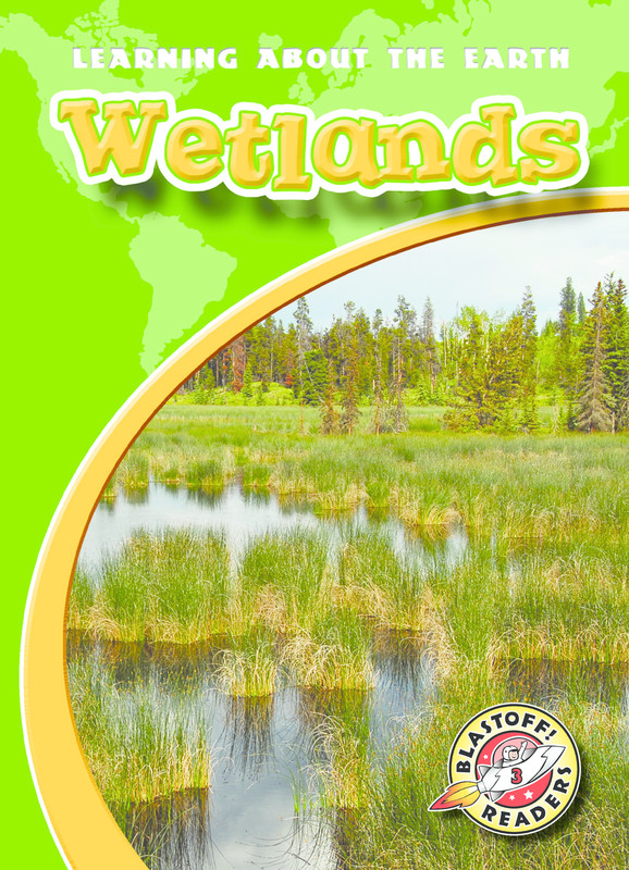 Wetlands, Hollie Endres