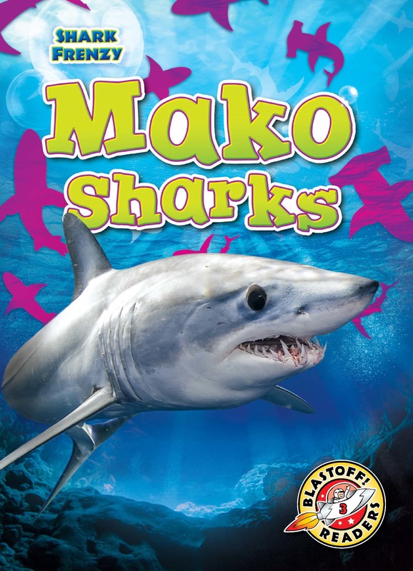 Mako Sharks, Rebecca Pettiford