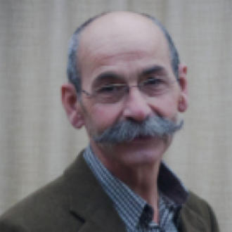 Ludo Geluykens