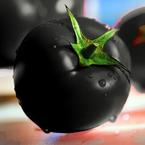 Black Pomidor