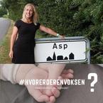 Anne Asp Feddern