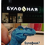 Дарья Иванова