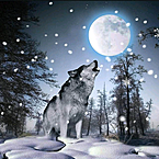 Wolf Selvan