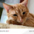 Елисей Маслов