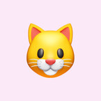 Jdh