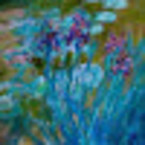 María Isabel Santos Maldonado