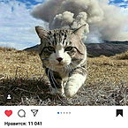 Ольга